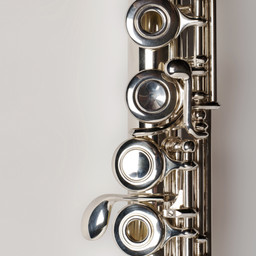 FLUTE