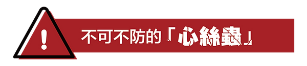 不可不防的心絲蟲-08.png