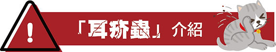 耳疥蟲介紹-18.jpg