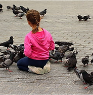 girl attracting pigeons.PNG