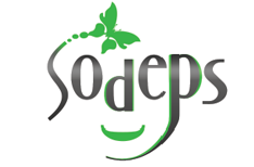Création de logo