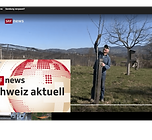 SRF CH aktuell12 Maerz.png
