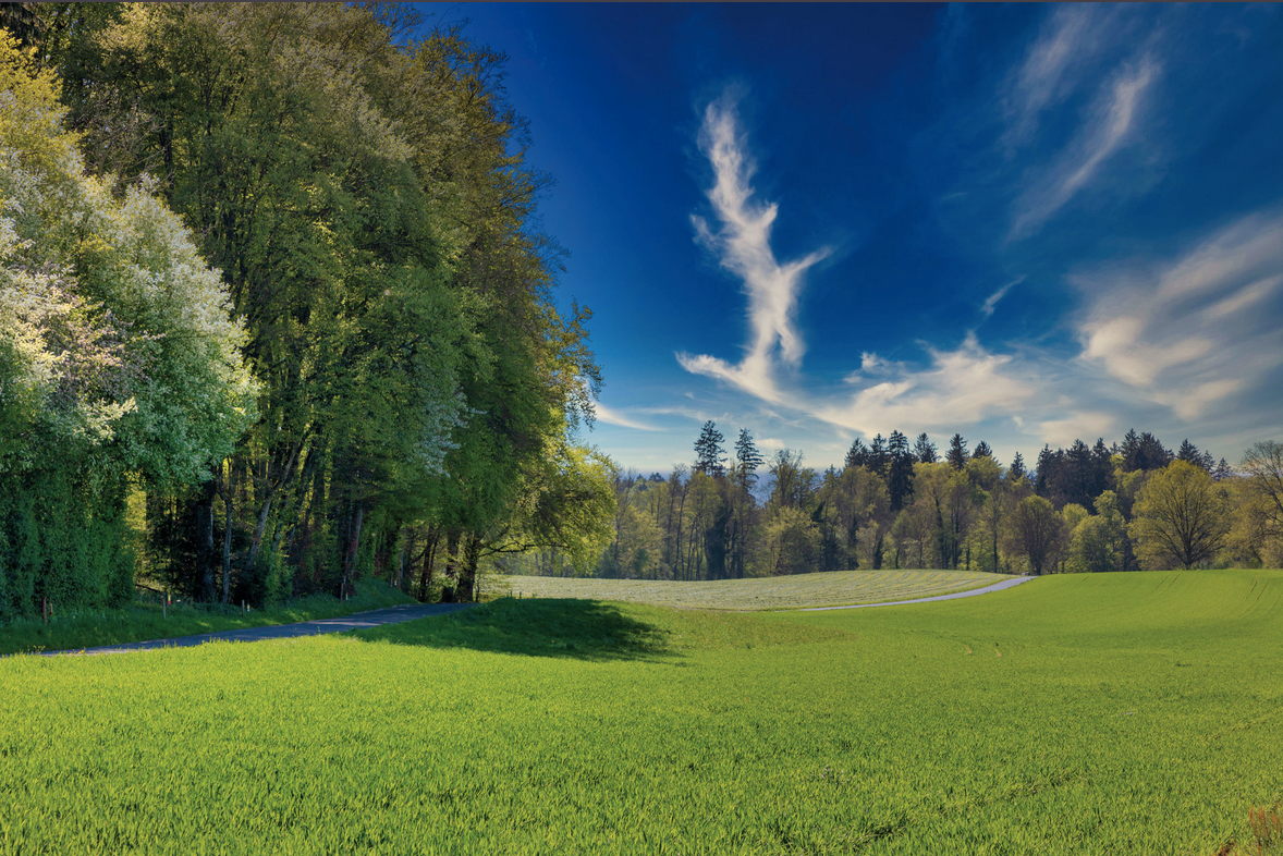 Erfolg für Naturschützer bei ähnlichem Bahnprojekt bei Bern content media