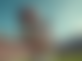 Top Picks from the 2026 NFL Draft You Need to Know