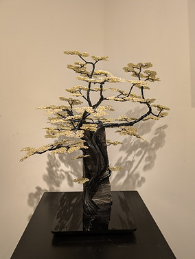 Protection H74cm L60cm l51cm.jpg