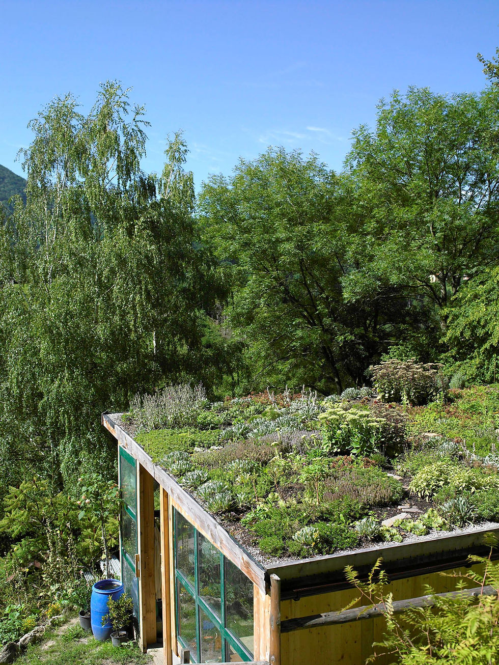 Bildquelle: Natur im Garten Deutschland