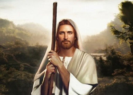 Ley de Causa y Efecto