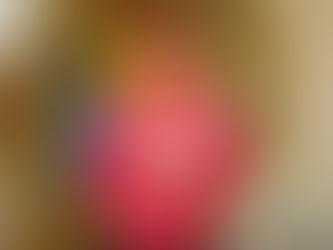 ЦЕНТР МАСТЕРГРАД ПОЛУЧИЛ ГРАНТ ФОНДА ПРЕЗИДЕНТСКИХ ГРАНТОВ