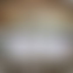 Capulet Wedding w. Rooftop Ceremony in New Orleans with Lovegood Wedding & Event Rentals 