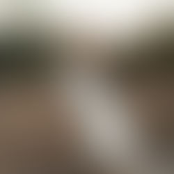 Islands of the Archipelago with Starling and Sage, The Petaler Co. and Lovegood Wedding & Event 