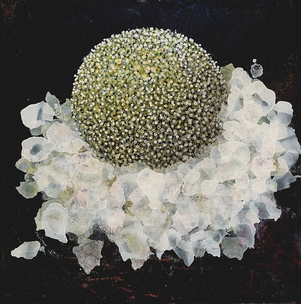 Botanical #2