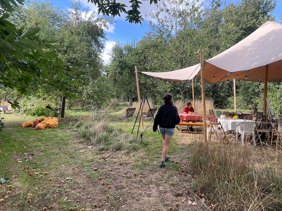 Expeditie Boomgaard - week 1