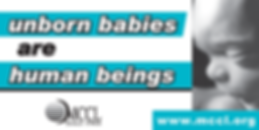 Unborn babies are human beings billboard