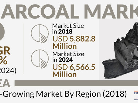 Growing Recreational Cooking Trend Driving Demand for Charcoal