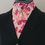 Thumbnail: PRE-TIED Dressage Stock Tie, Raspberry Butterflies