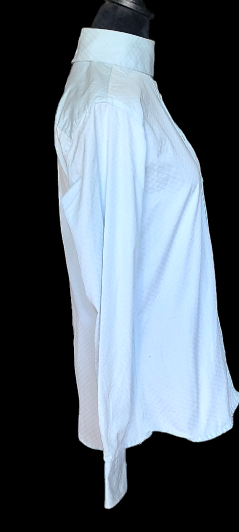 Thumbnail: RJ CLASSICS STERLING Light Blue Huntshirt, Size women's 40