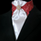 Thumbnail: PRE-TIED Dressage Stock Tie, Brick Red Butterflies