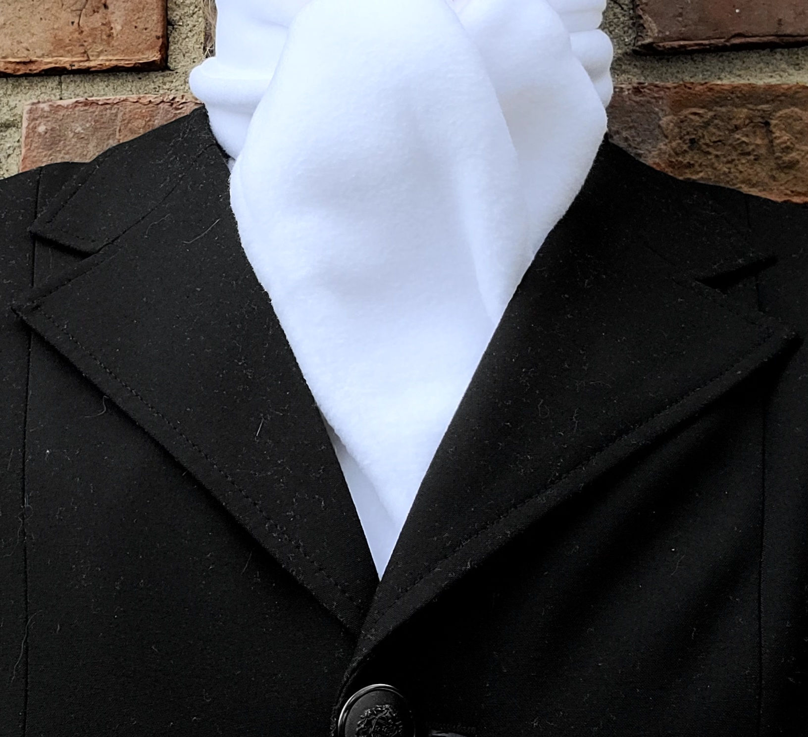 TRADITIONAL Polar Fleece Shaped Stock Tie, White