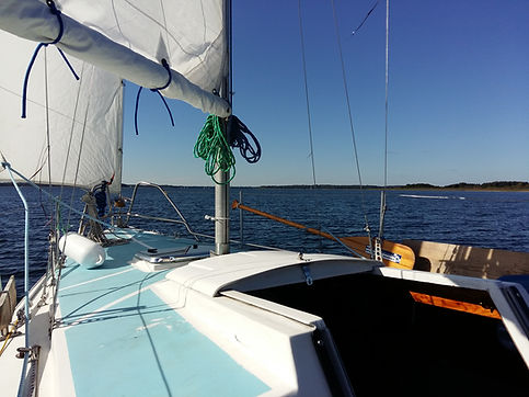 20160917_144441.jpg