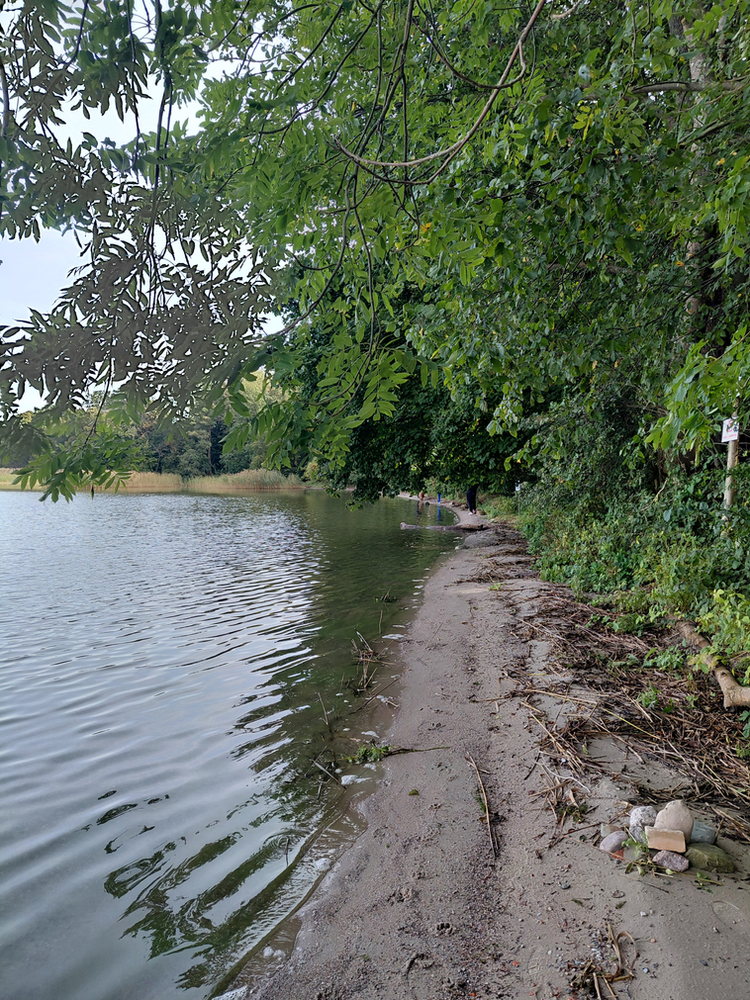 "Development" of water reservoir shores - administrative and legal issues