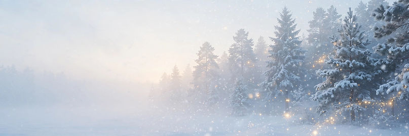 nutcracker-donation-strip-banner.jpg