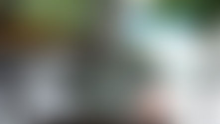 Comissão de Cultura apoia reposição do busto de Ana Maria do Couto May