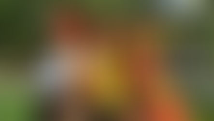 Pré-candidatura compartilhada "3Pretas" é inédita em Cuiabá