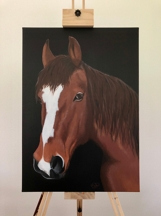 Pferd