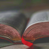 The Bible: Life's Instruction Manual