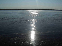SDC12064.jpg