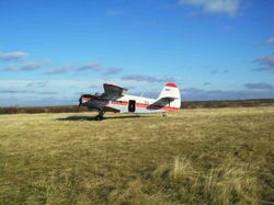 SDC12141.jpg