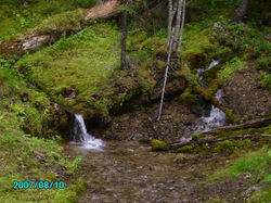 x_440eb097.jpg