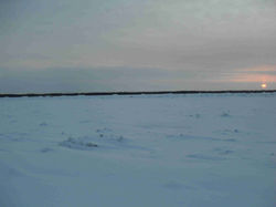 SDC10533.jpg