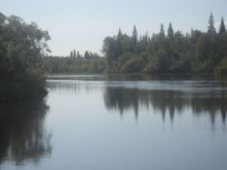 x_34f44e30.jpg