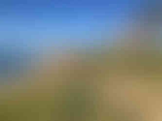 Falcon Landing on perch during Total Raptor Experience Falconry Class in San Diego