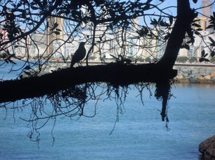 Vamos equilibrar a balança do planeta.