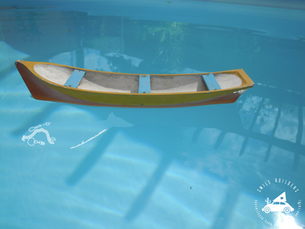 Uma canoa e a imensidão da água