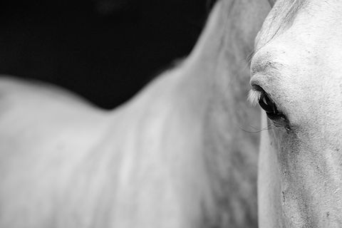 AdobeStock_195038936.jpeg
