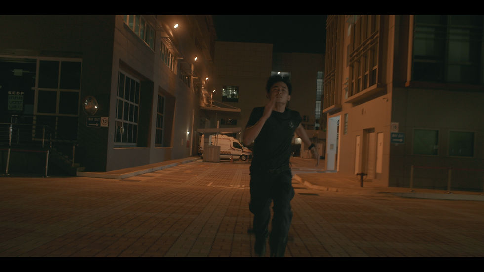 THE EPAULETTE II _02