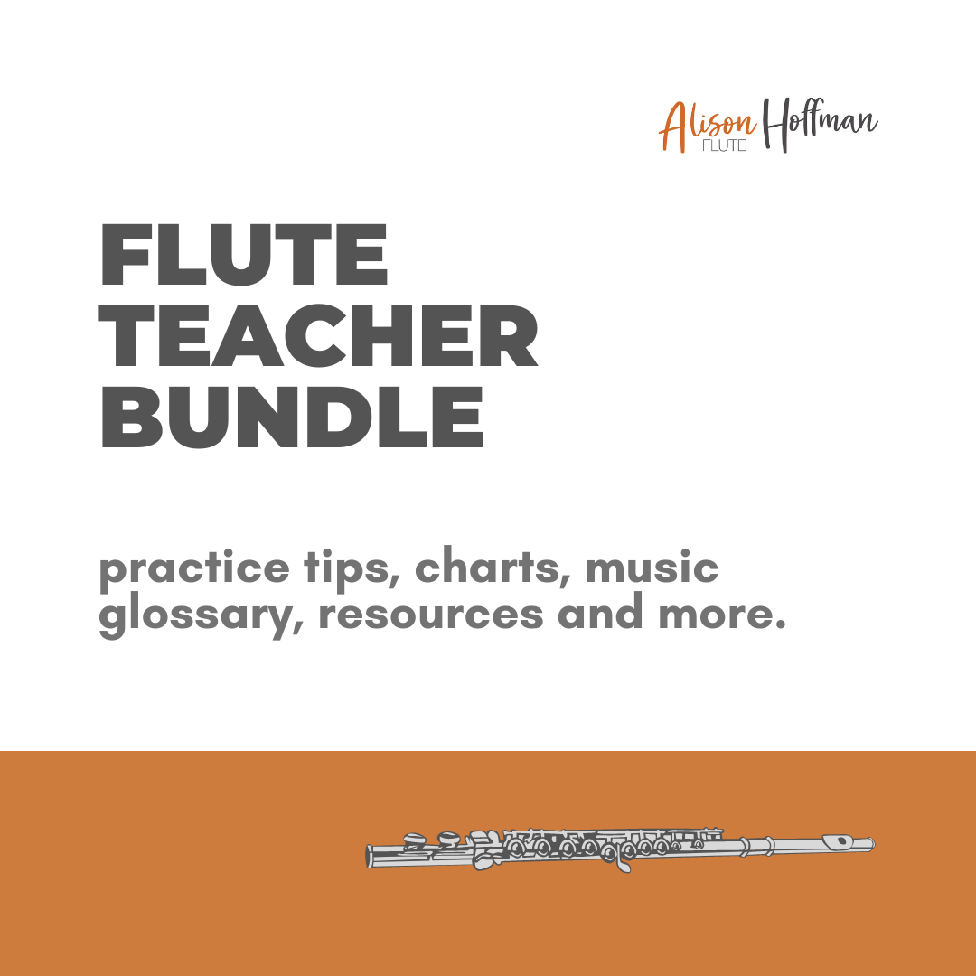 Flute Teacher Bundle cover photo
