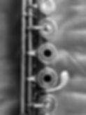flute body