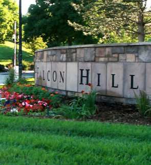 Falcon Hills Highlands Ranch 2_edited_ed