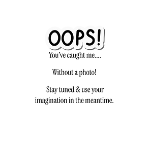 OOPS! You’ve caught me.... Without a photo! Stay tuned & use your imagination in the meant