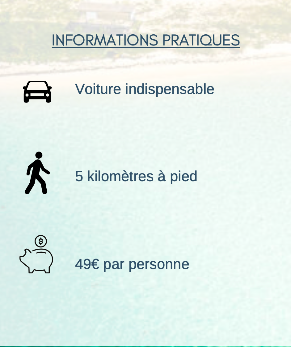 Miniature : la description de l'article