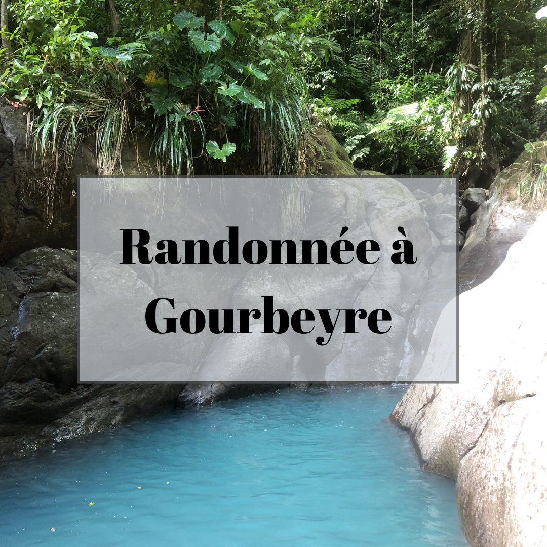 Randonnée à Gourbeyre de 2 kilomètres