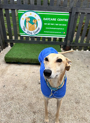 WhatsApp Image 2026-03-27 at 12.08.05.jpeg