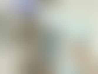 Sanitização: Proteção e segurança total