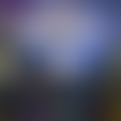 Noite Dançante teve recorde de público