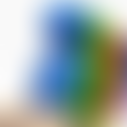 Eleita nova diretoria do Clube