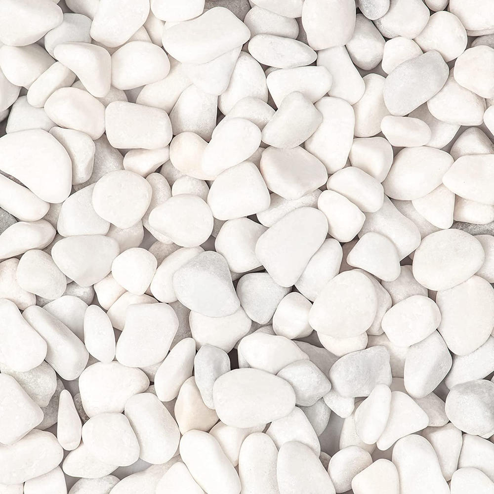 Alpine White